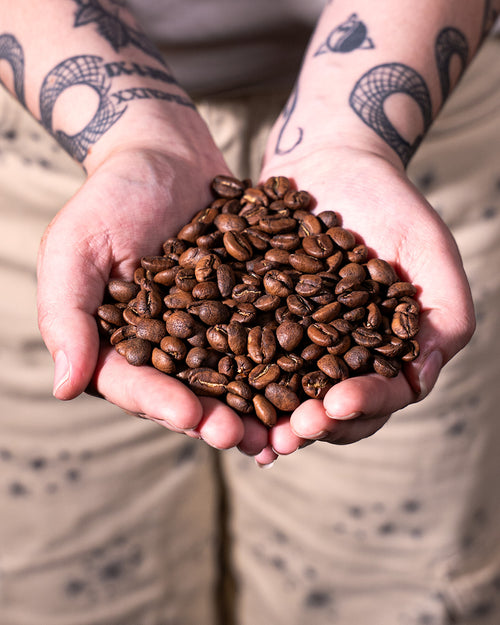 Café Arkdia Tradicional Lavado 2.5kg